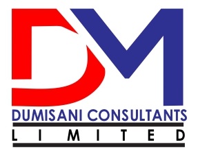 Dumisani Consultants
